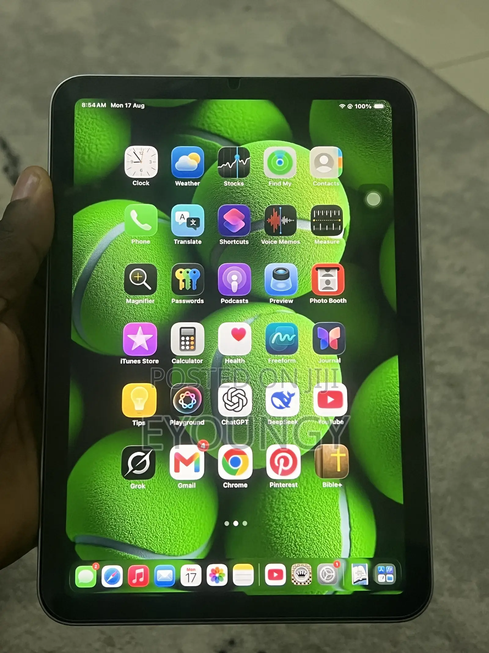 Apple iPad mini 7 128 GB Gray