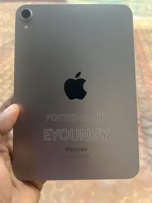 Apple iPad mini 7 128 GB Gray