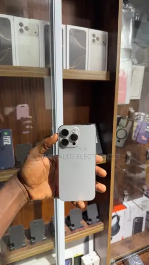 Apple iPhone 15 Pro Max 256 GB Silver
