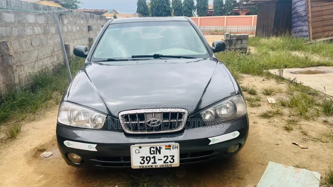 Hyundai Elantra 2007 Gray