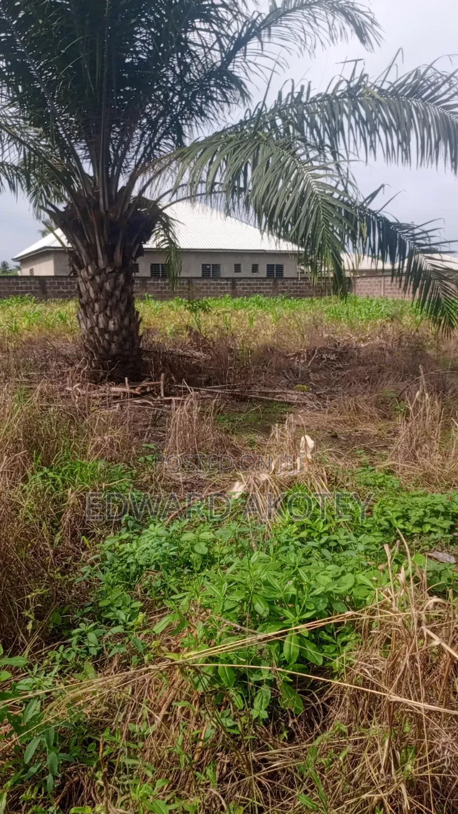 Roadside Land for Sale