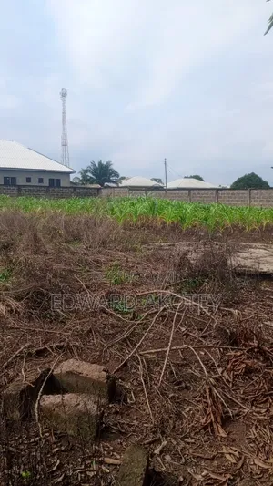 Roadside Land for Sale