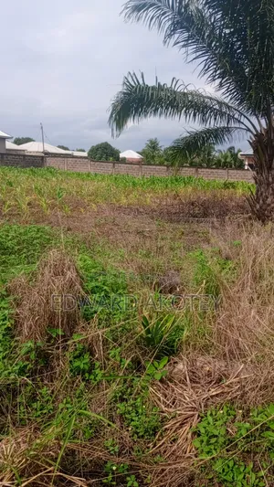 Roadside Land for Sale