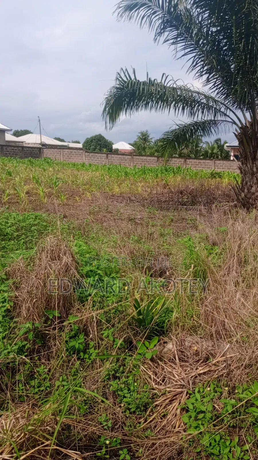 Roadside Land for Sale