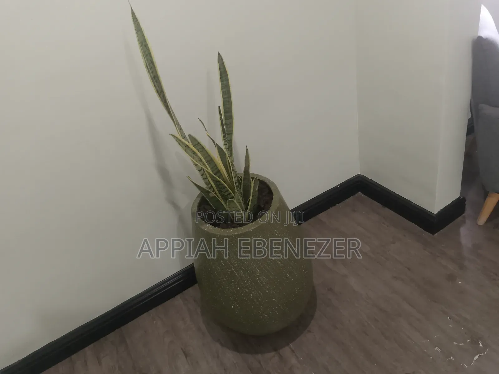 Gardening and Landscaping