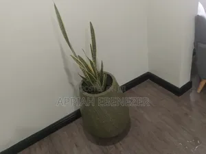 Gardening and Landscaping