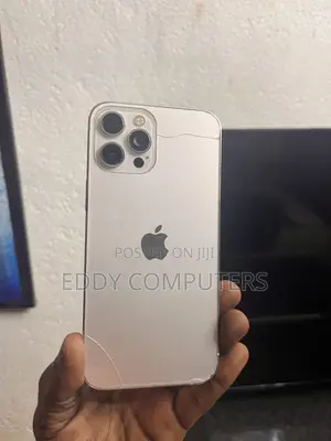 Apple iPhone 12 Pro Max 128 GB Silver