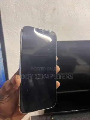 Apple iPhone 12 Pro Max 128 GB Silver