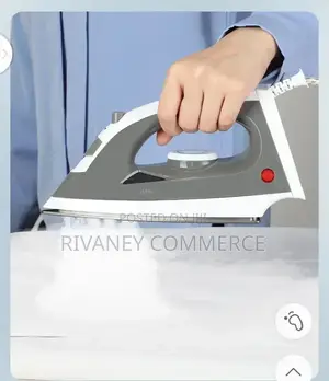 Electric Steam Iron