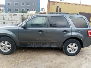 Ford Escape 2009 Gray
