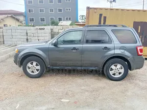 Ford Escape 2009 Gray