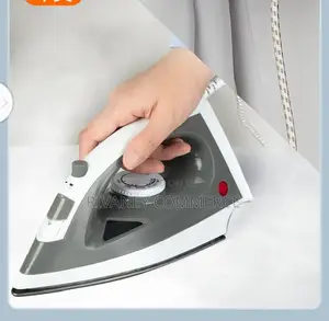 Electric Steam Iron