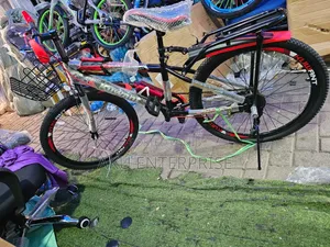 24-Inch Mountain Bike for Boys Girls