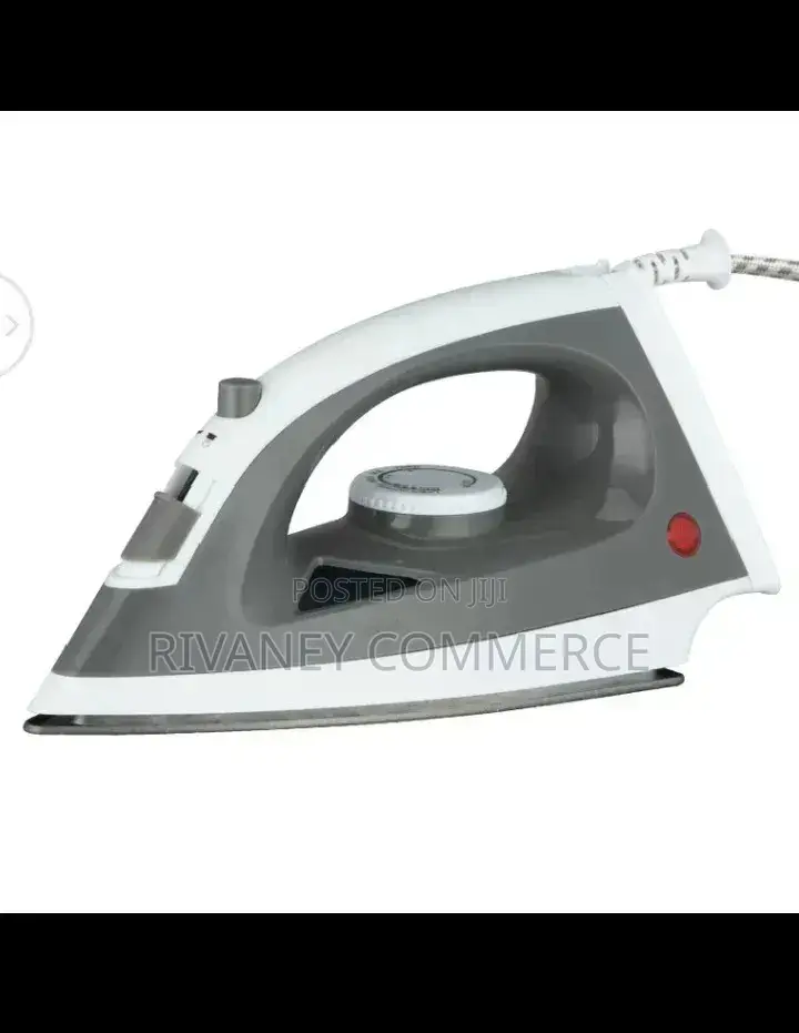 Electric Steam Iron