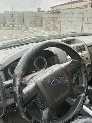 Ford Escape 2009 Gray