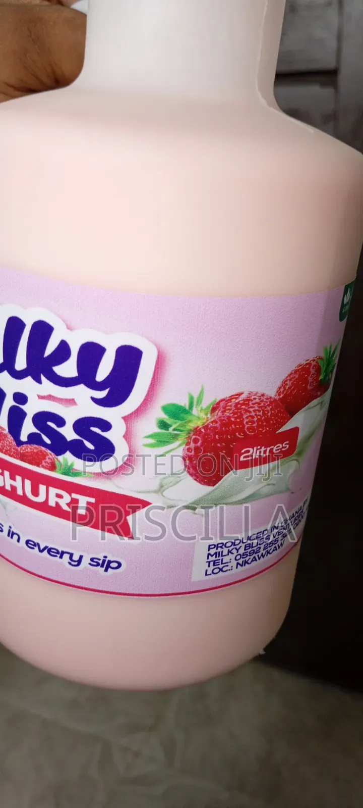 Milky Bliss Probiotic Yogurt