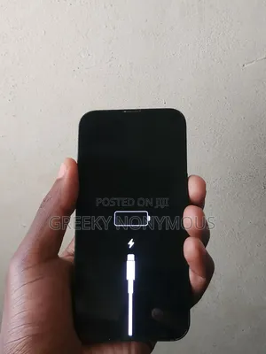 Apple iPhone 13 256 GB Green