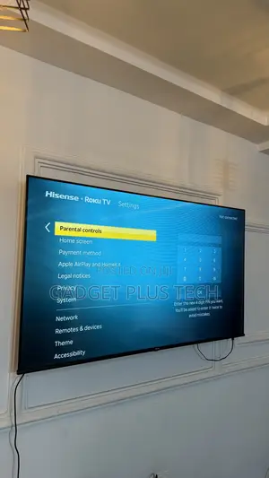 2024/25 65” Hisense Roku Smart TV (American Type)