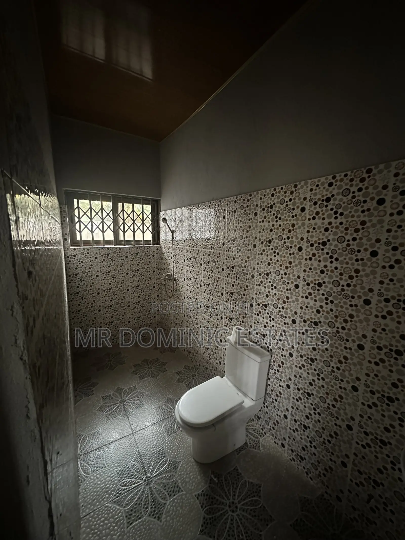 Mini Flat in Mr Dominic Estates, Bortiano for rent