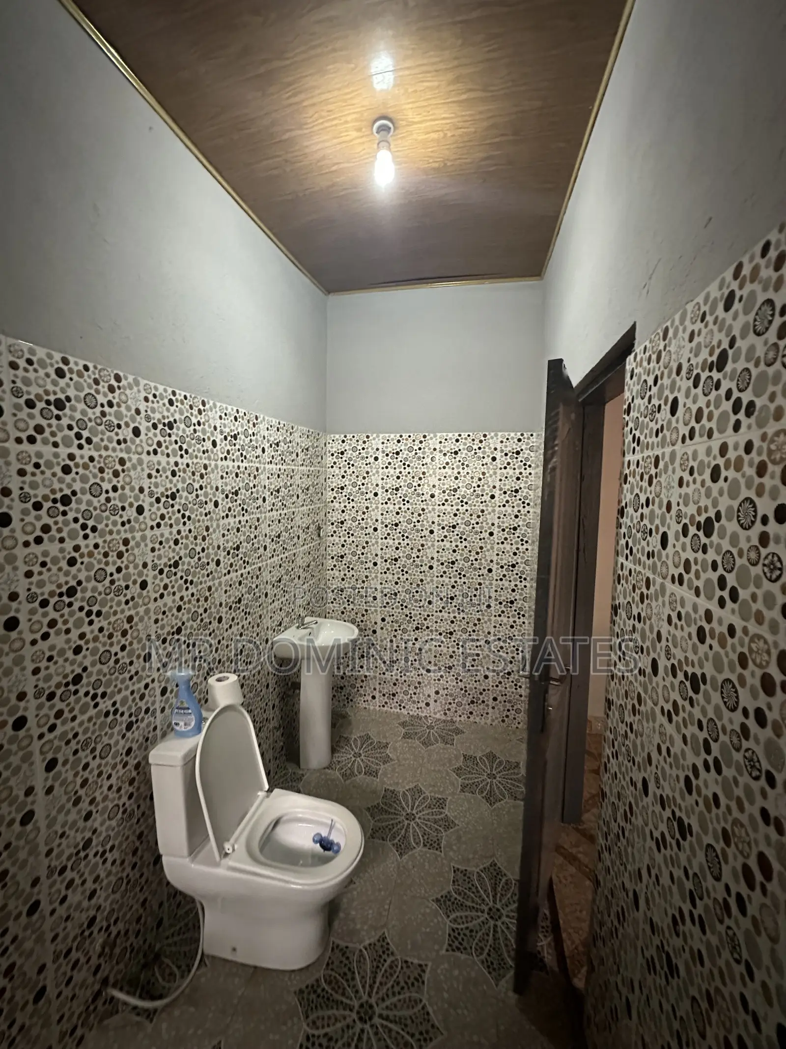 Mini Flat in Mr Dominic Estates, Bortiano for rent