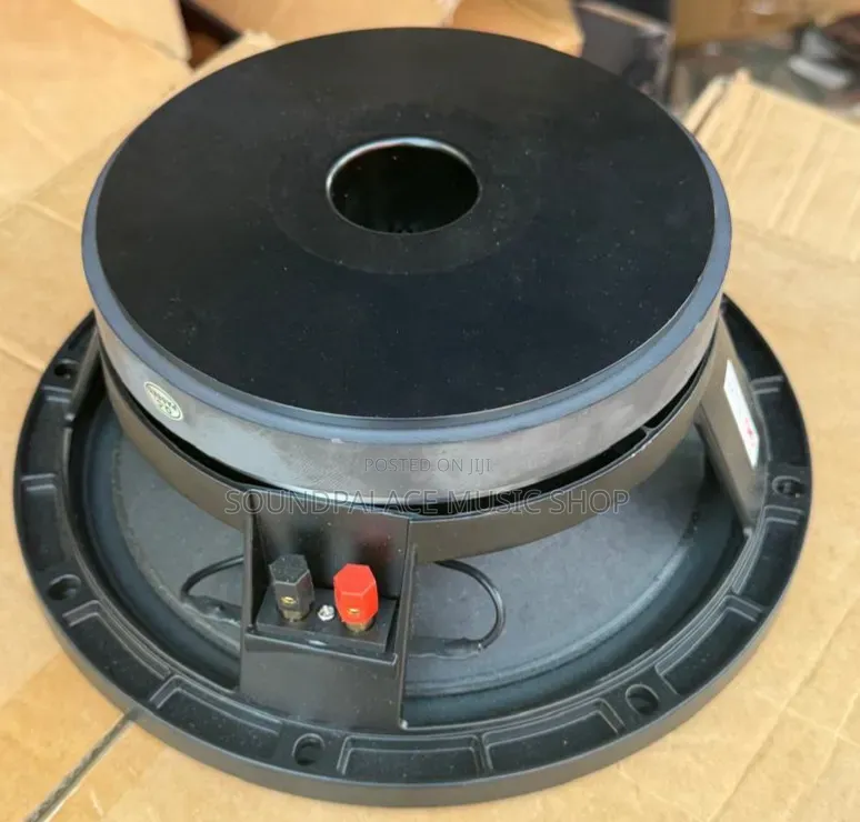 JAC 10inches Pair of Naked Speakers (Suitable for Line Array)