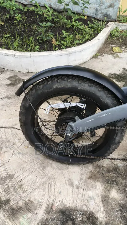 New Motorcycle 2025