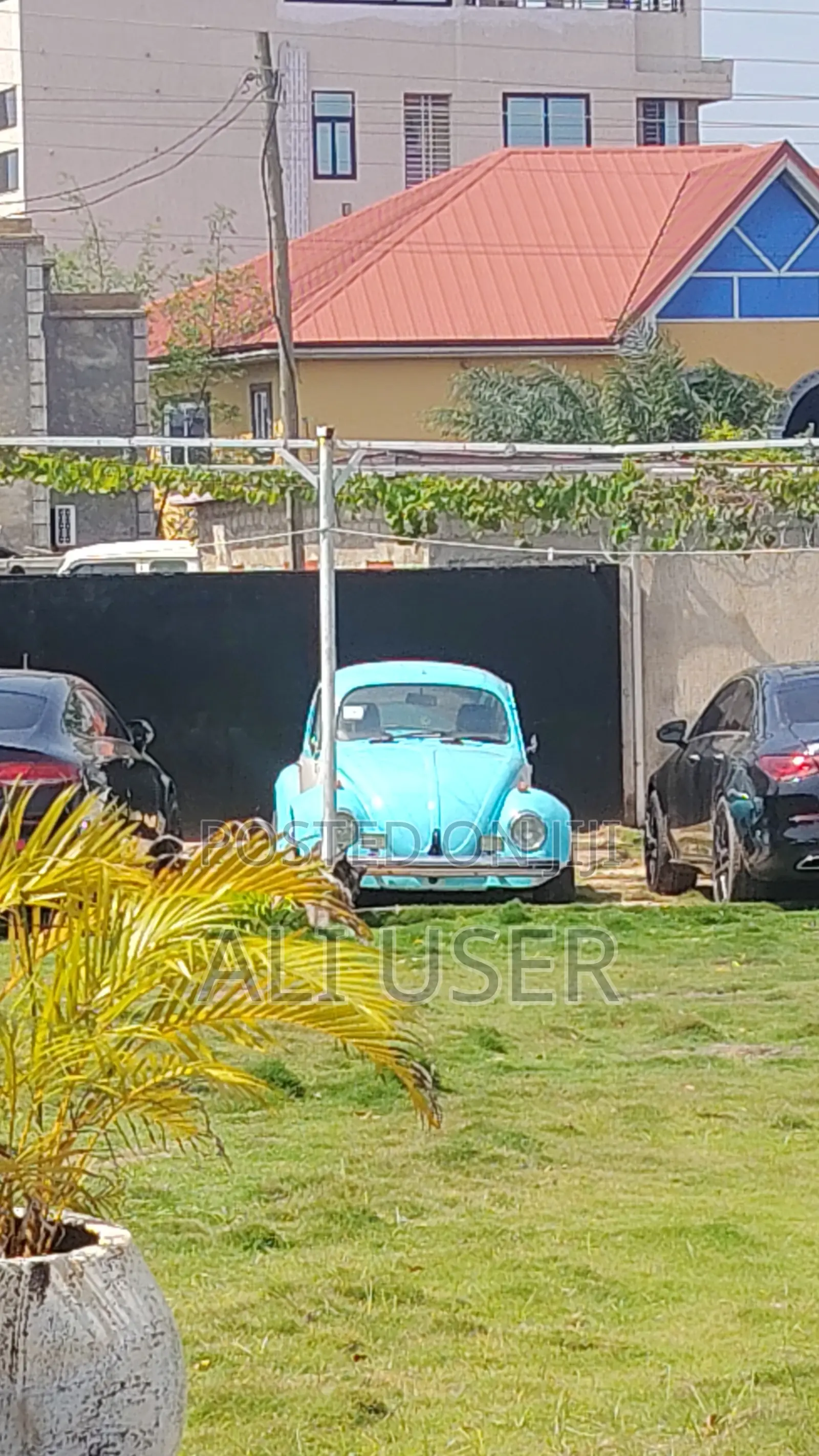 Volkswagen Beetle Cabriolet 1976 Blue