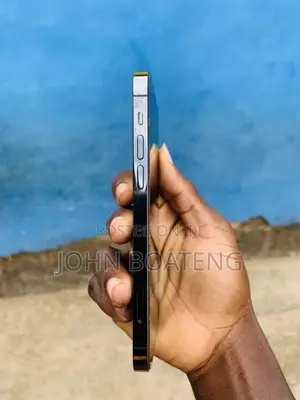 Apple iPhone 12 Pro 256 GB Gray