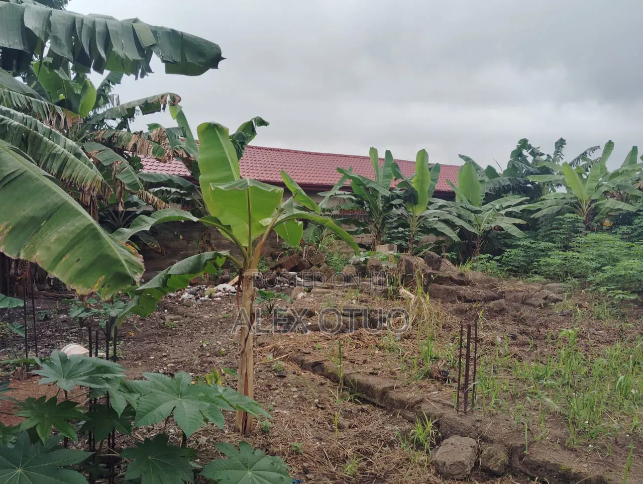 1bdrm House in Alex Otuo Properties, Atwima Nwabiagya for sale