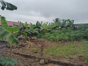 1bdrm House in Alex Otuo Properties, Atwima Nwabiagya for sale