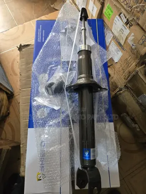 Honda Accord 2013-2017 Back Shocks Shield
