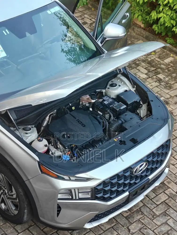 Hyundai Santa Fe 2023 Gray