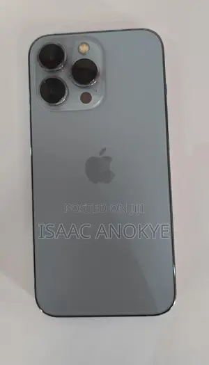 Apple iPhone 13 Pro 256 GB Gray