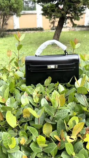 Luxury Hand Bags