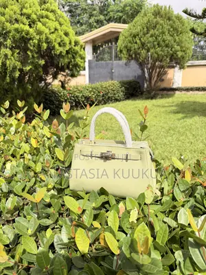 Luxury Hand Bags