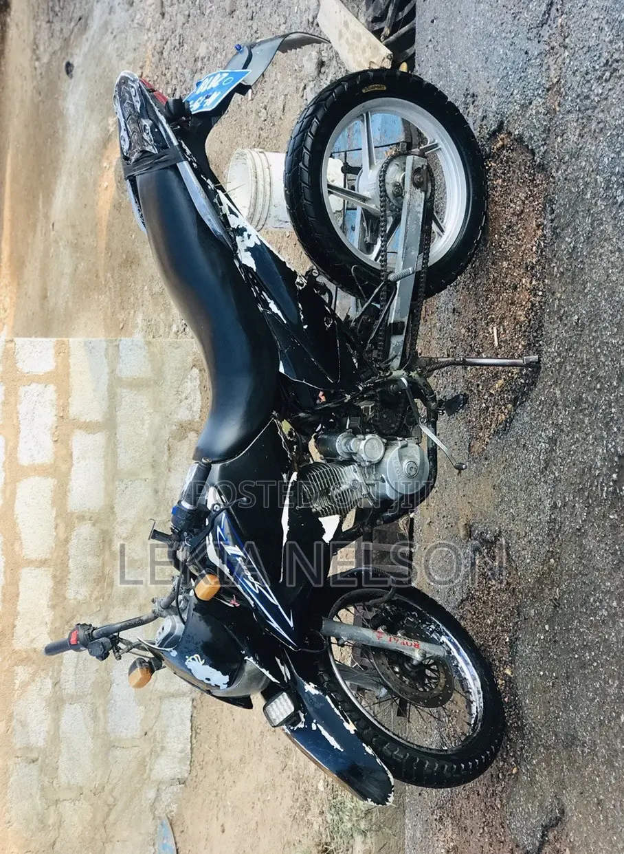 Royal Racer 2019 Black