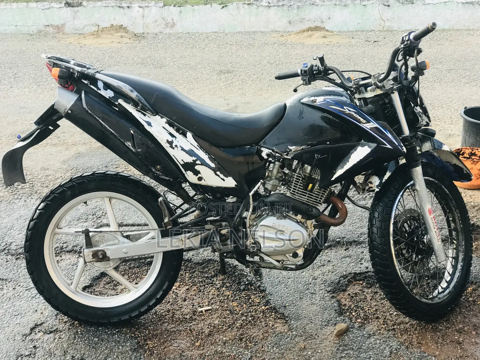 Royal Racer 2019 Black