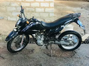Royal Racer 2019 Black