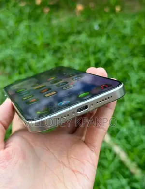 Apple iPhone 15 Pro Max 256 GB Silver