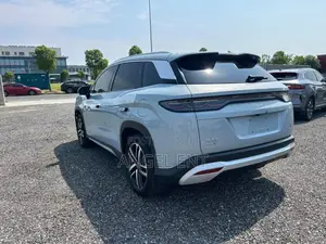 BYD Song L DM-i 2024 Gray