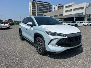 BYD Song L DM-i 2024 Gray