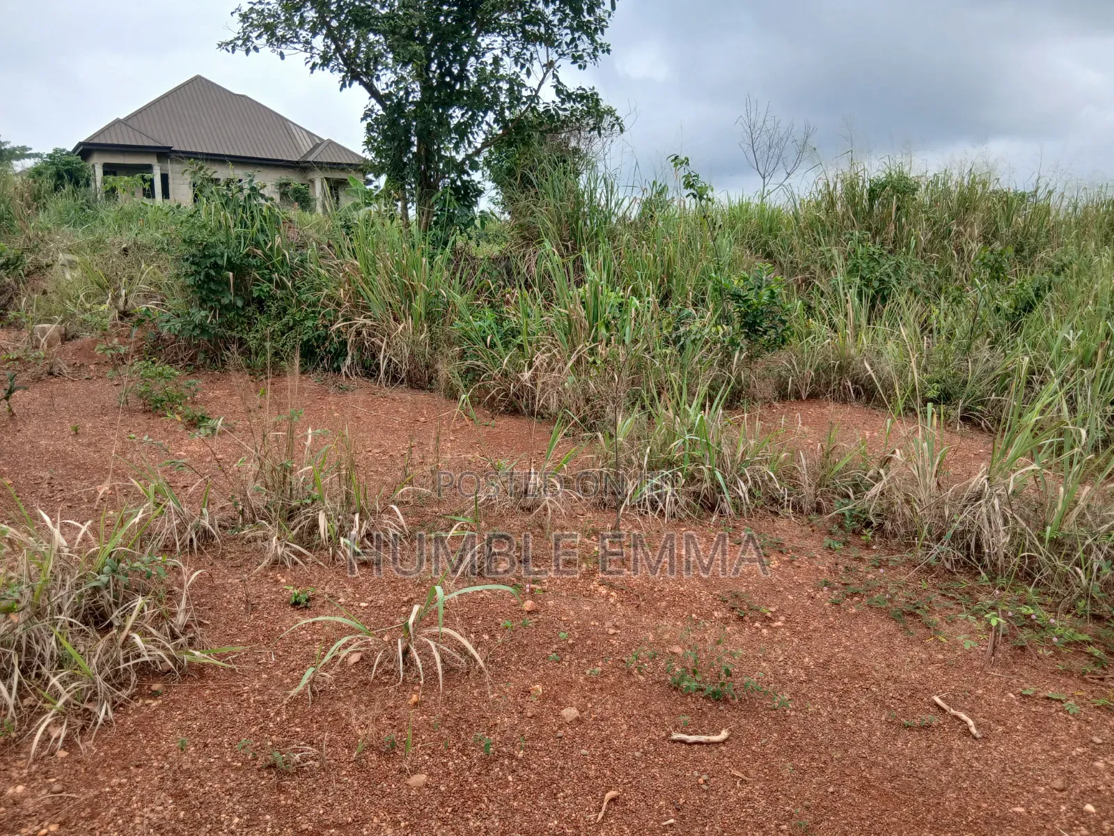 Half/Full Plots for Sale at Ampabame, Kwahoma and Afrancho. Call Now At