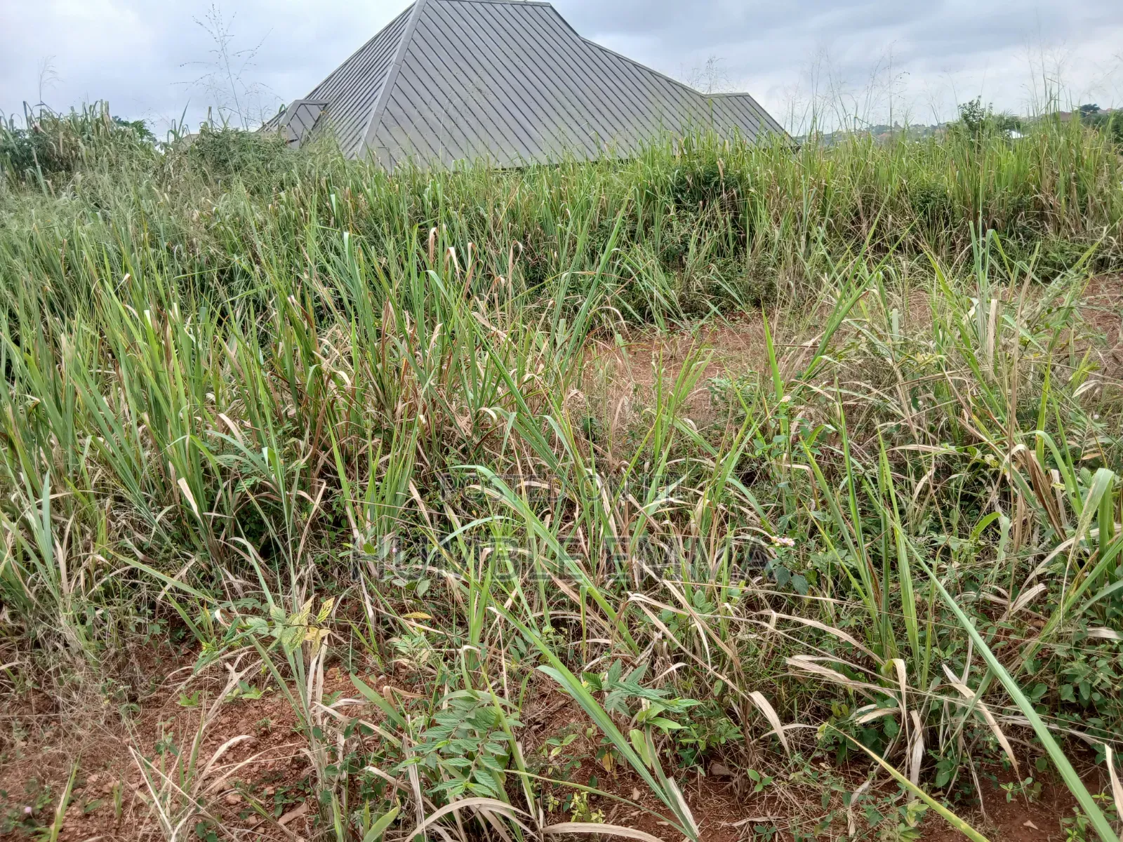 Half/Full Plots for Sale at Ampabame, Kwahoma and Afrancho. Call Now At
