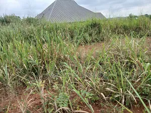 Half/Full Plots for Sale at Ampabame, Kwahoma and Afrancho. Call Now At