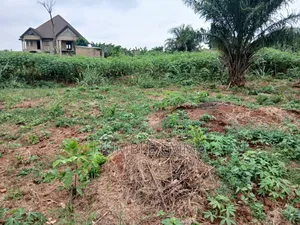Half/Full Plots for Sale at Ampabame, Kwahoma and Afrancho. Call Now At