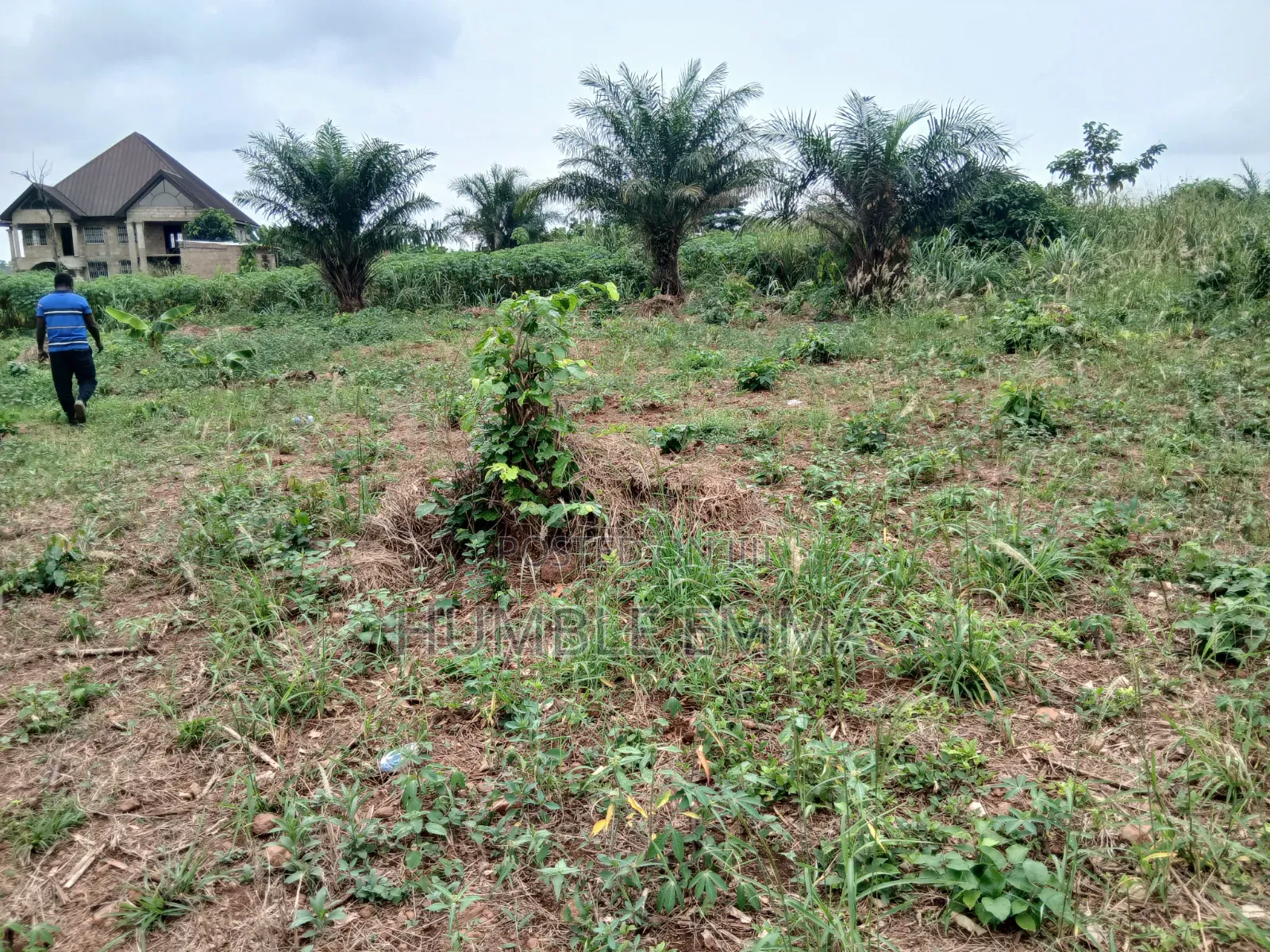 Half/Full Plots for Sale at Ampabame, Kwahoma and Afrancho. Call Now At