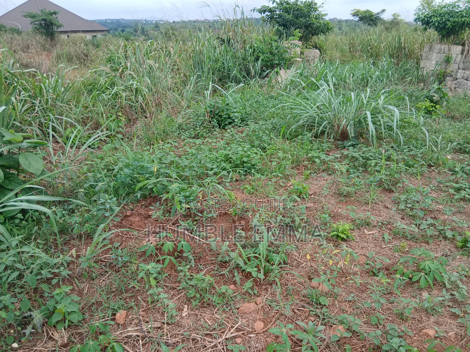 Half/Full Plots for Sale at Ampabame, Kwahoma and Afrancho. Call Now At