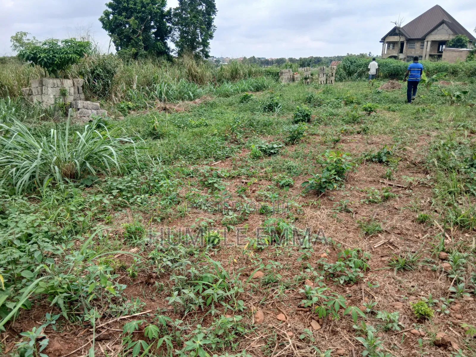 Half/Full Plots for Sale at Ampabame, Kwahoma and Afrancho. Call Now At