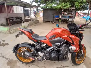 Kawasaki Z900 2019 Red