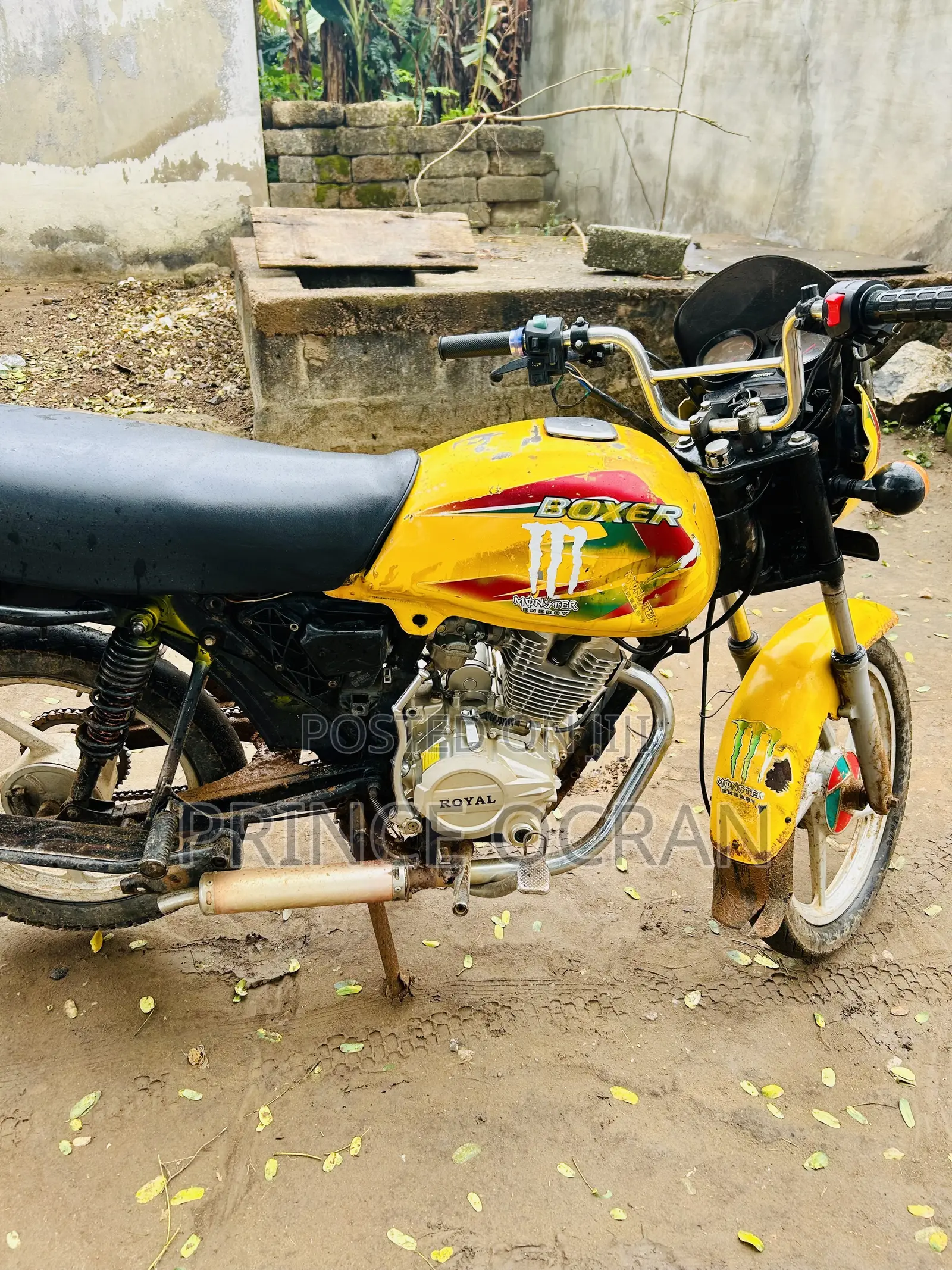 Royal RY125 2024 Yellow